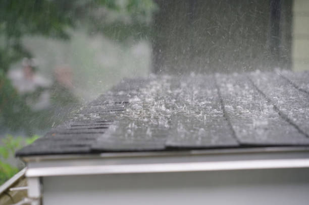 Best Gutter Installation and Repair  in Fris, CO