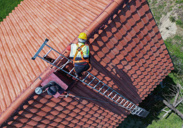 Best Metal Roofing Installation  in Fris, CO